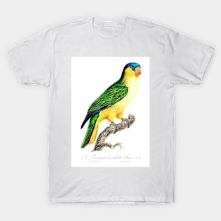 The Black-Lored Parrot T-Shirt